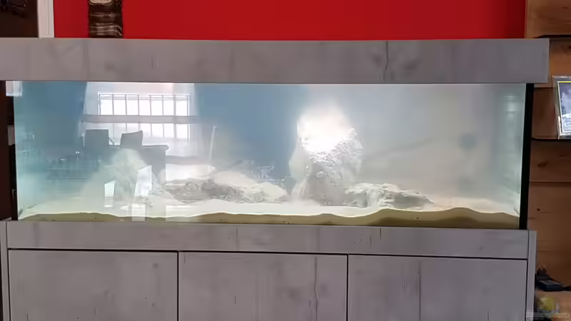 Tag X von Charmin (4)