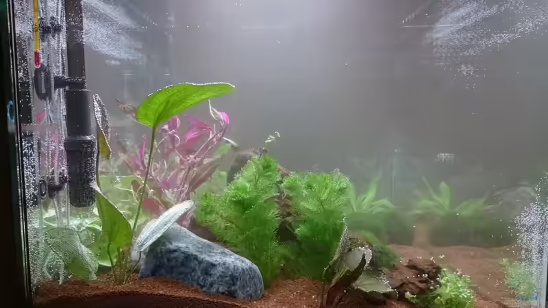 Tag1 links von kNaLLeR (3)