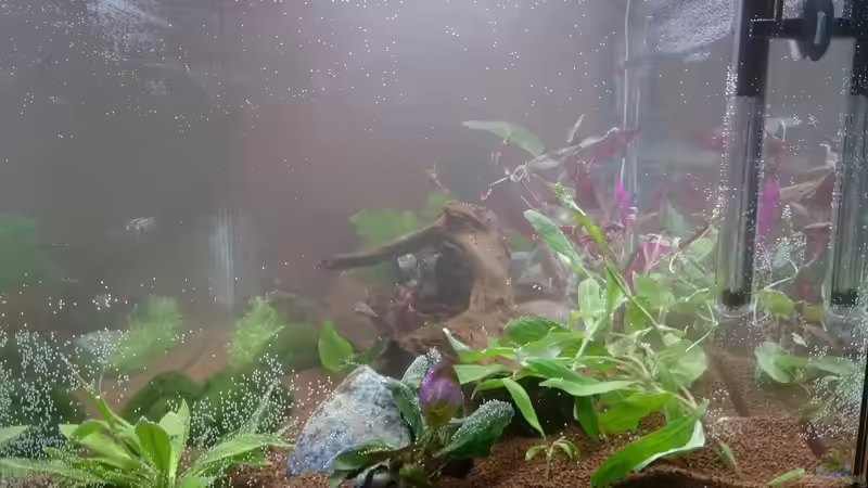 Tag1 rechts von kNaLLeR (4)