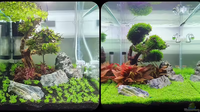 Tag1/Tag47 von Marco B. (4)