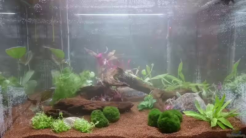 Tag1 vorn von kNaLLeR (2)