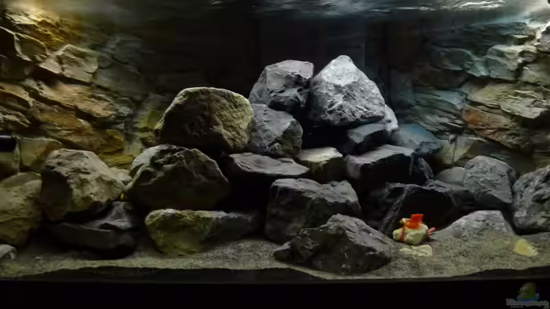 Tag2 und keiner ist da?!? von Tobias.Neher (48)