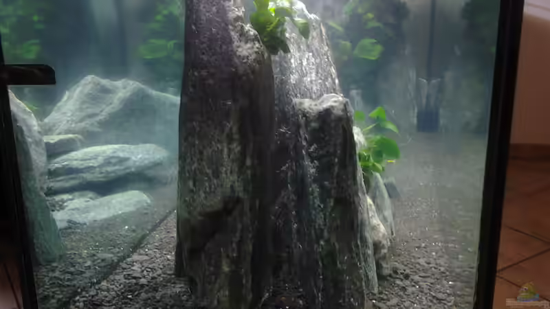 Tag2 von Malawi Duck (9)