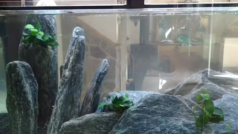 Tag3 von Malawi Duck (10)