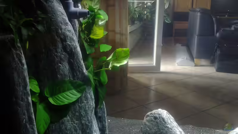 Tag4 von Malawi Duck (11)