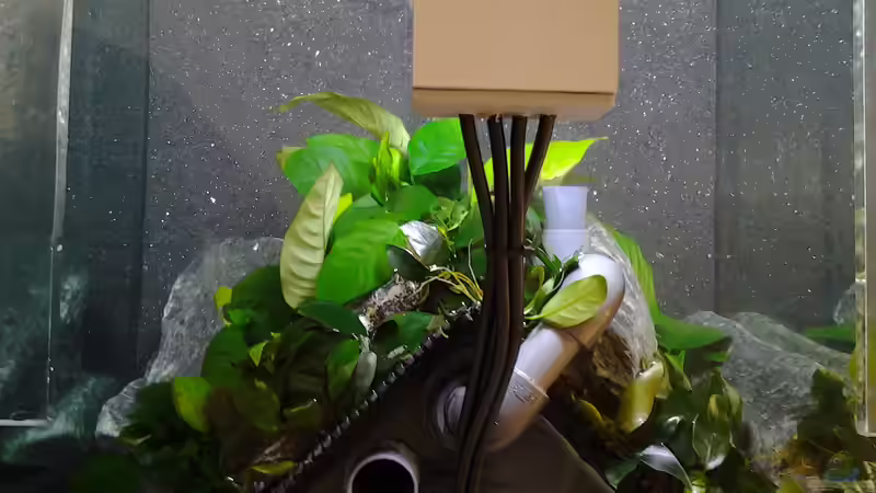 Tag5 von Malawi Duck (12)