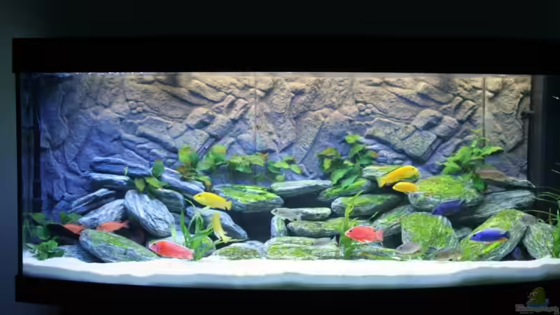 Tagesbeleuchtung 80%