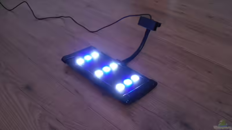 Tagesbeleuchtung von Jens Kändler (7)