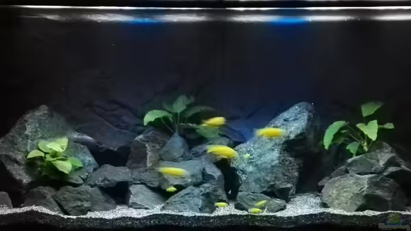 Tageslicht  von Guido Studtrucker (9)