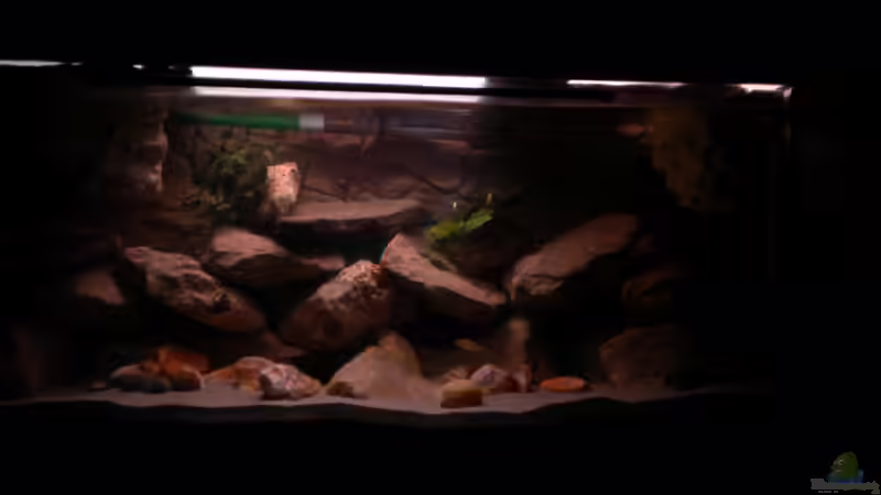 Tageslicht alt von Herki (11)