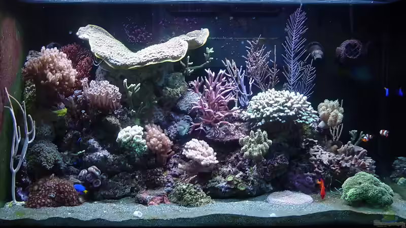 Tageslicht mit LED von The_Lizardking (5)