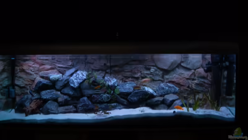 Tageslicht von Calimero (1)