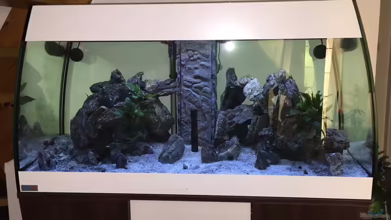 Tageslicht von dennel (5)