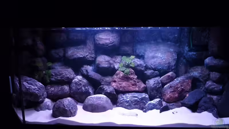 Tageslicht von Der Michel (9)