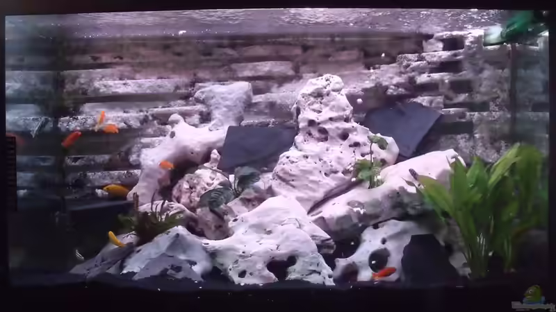 Tageslicht von IC-Killer (2)