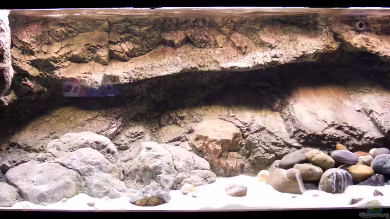 Tageslicht von Markus Walter (9)