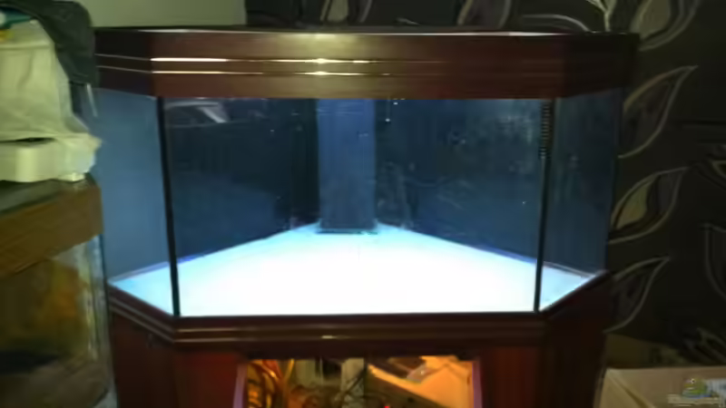 Tageslicht von Snakehead (16)