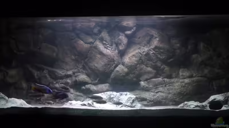 Tageslicht zu Mittag von DER YBBSTALER (24)