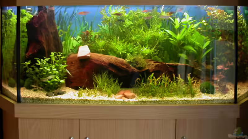 Tageslichtaufnahme 27.April 2006 von Susanne Schmohl (2)