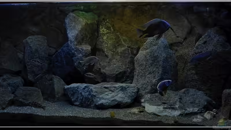 Tagesverlauf... von ***ELLIS*** (7)