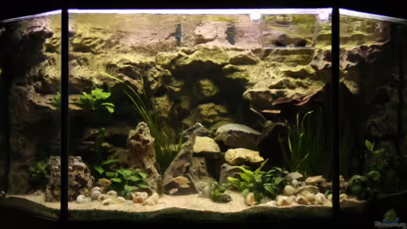 Taglicht (Feb. 2008) von photizo (2)