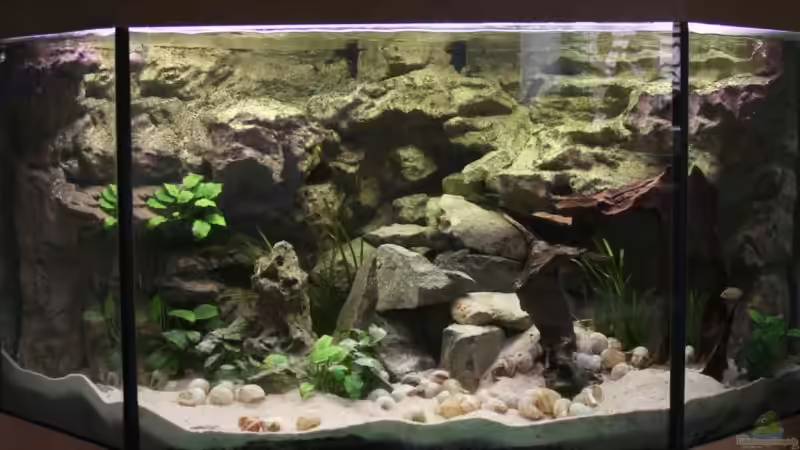 Taglicht mit neuer Röhre (Juni 2009) von photizo (5)