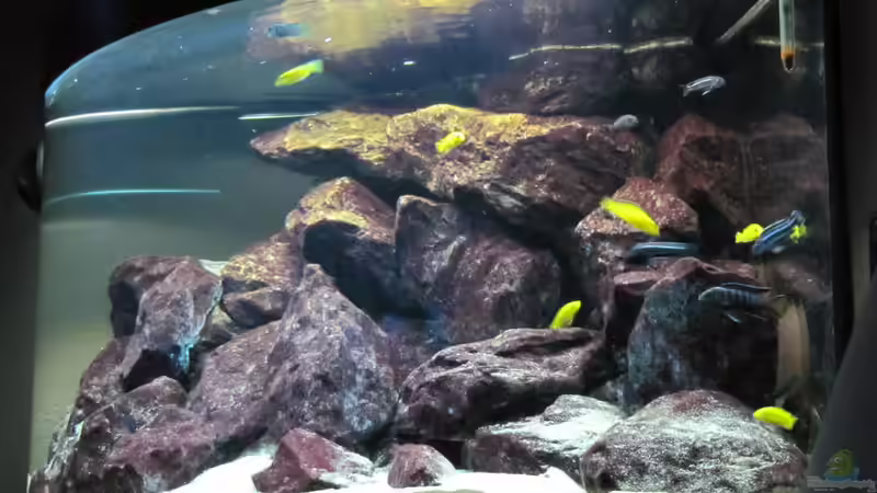 Tagsüber von rechts 21.01.2010 von THORS10 (8)