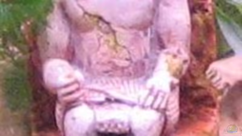 Tal der Könige (Glaube ich...) von Gaspode (17)