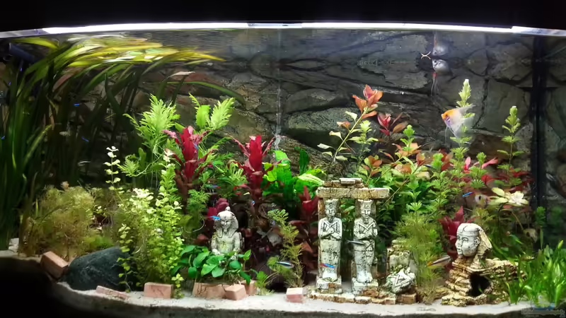 Tal der Könige von Sascha Mayr (1)