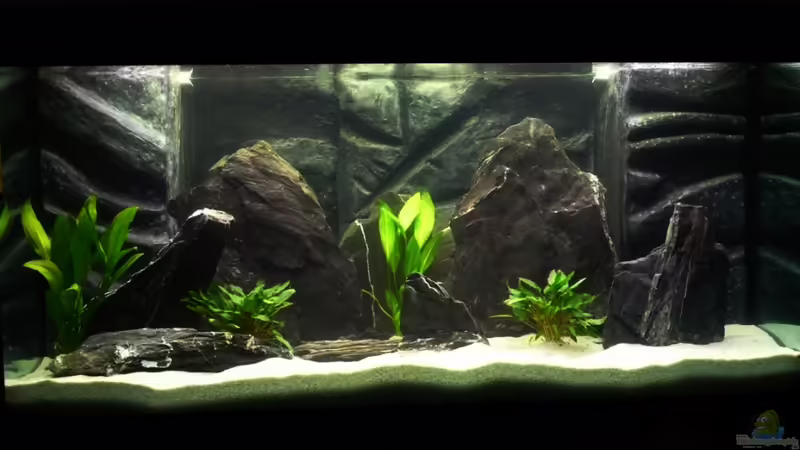 Tanganijka Becken mit Schiefer