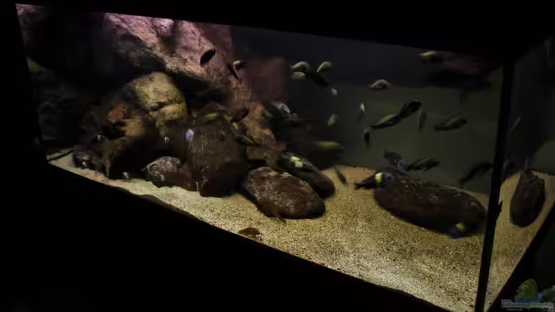 Tanganjiaksee 720 10/2012 von martin4ever (3)