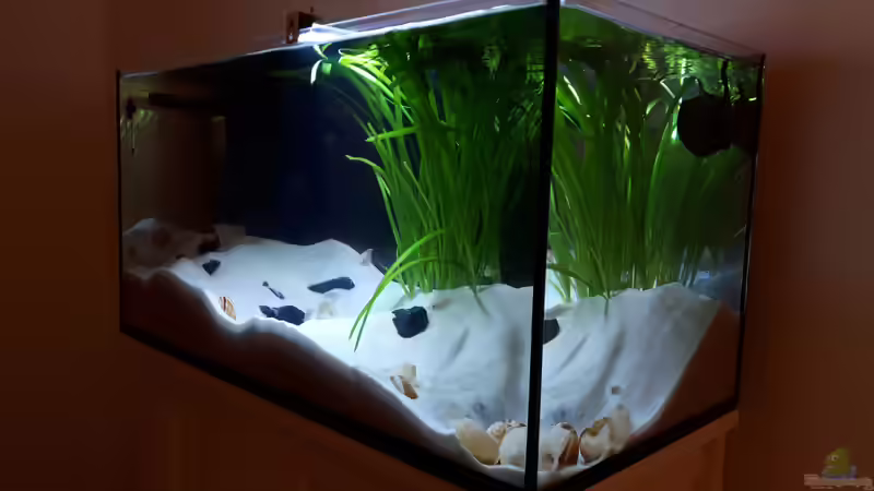 Tanganjika 54L von Jim (1)