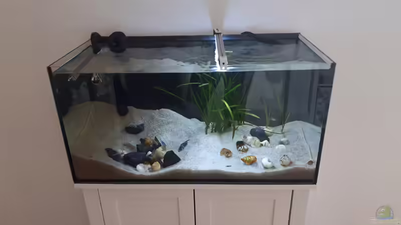 Tanganjika 54L von Jim (3)