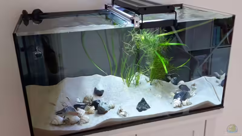 Tanganjika 54L von Jim (5)