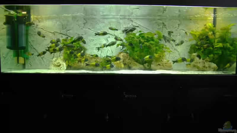 Tanganjika 720 Liter