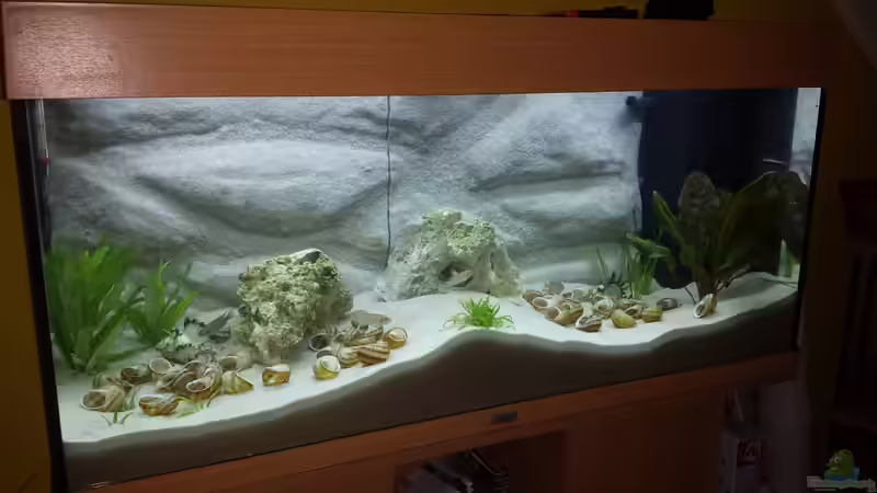 Tanganjika von SoNiC (1)