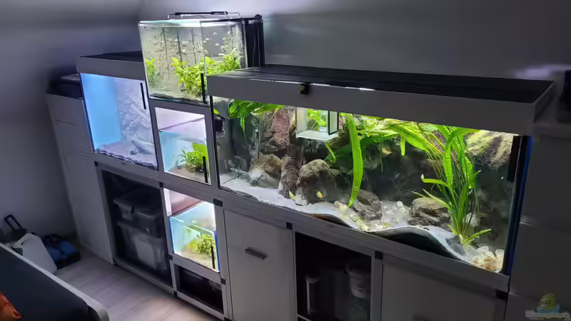 Tanganjikawand von Chris Heerwagen (71)