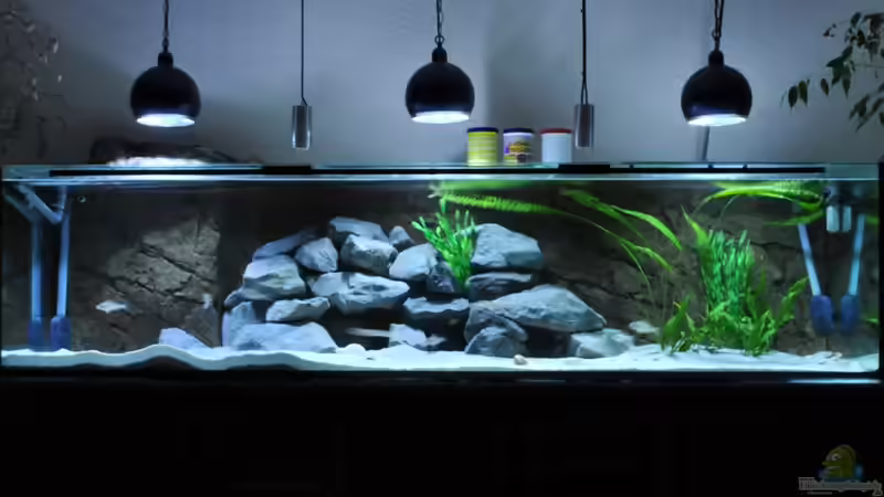 Tanganyika 1200L 23.1.11 von Lars Schnabel (1)