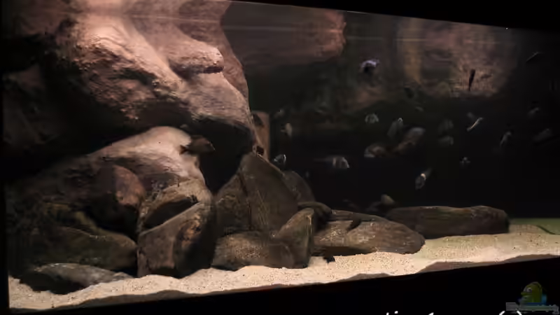 Tanganyika 720 CZ von martin4ever (10)