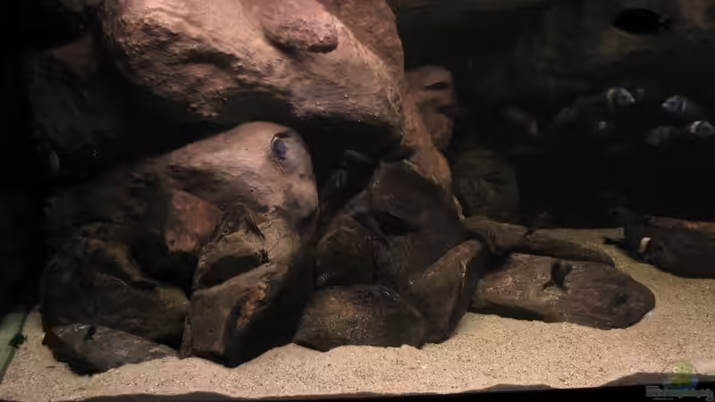 Tanganyika 720 CZ von martin4ever (19)