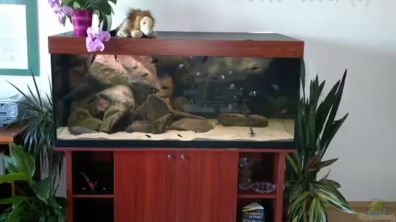 Tanganyika 720 CZ von martin4ever (22)