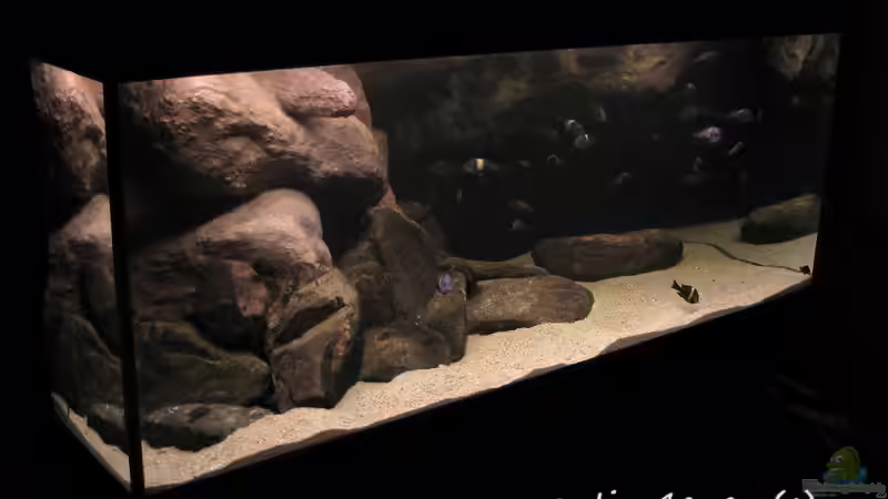 Tanganyika 720 CZ von martin4ever (9)