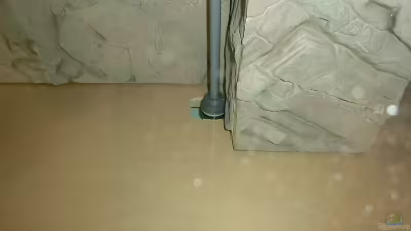 Tankverschraubung des Zulaufs von Steven Tumma (39)