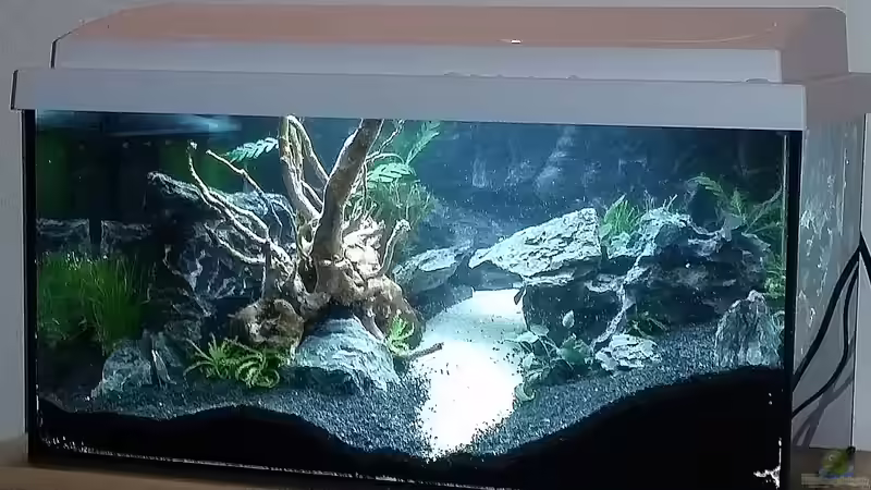 Tarfala Dreams von Astrid Heinsohn (2)