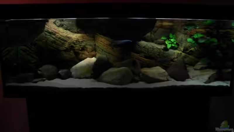 Tatsächliche Beleuchtungsstärke von Sternenseeträumer (2)