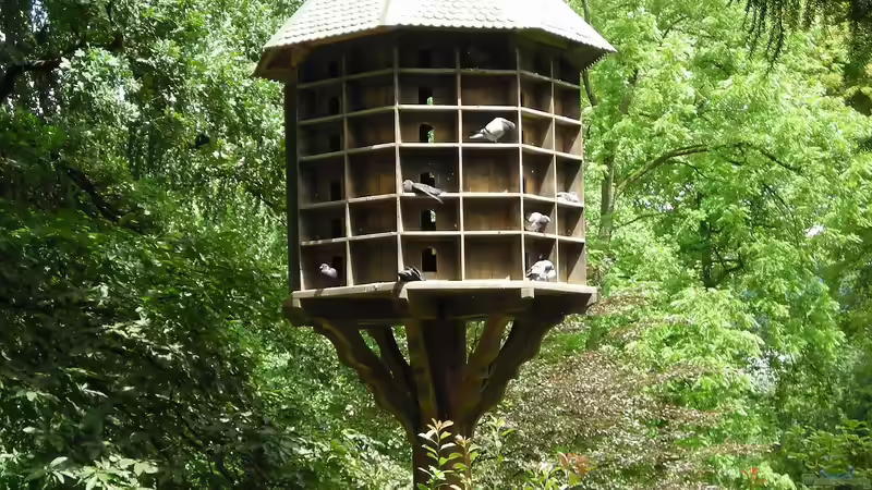 Taubenschlag im Garten - Planung, Bau und Haltung von Gartentauben
