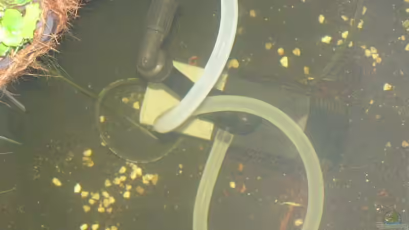 Tauchdruckpumpe 3500 Liter von SeLo (27)