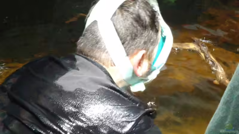 Tauchen im Aquarium von Thomas Michel (3)