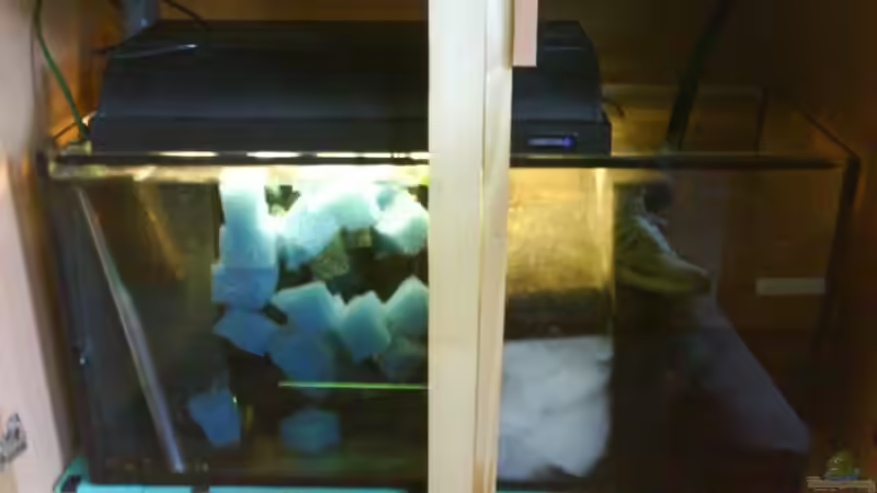 Techikbecken Pumpe und Heizer von Der Harzer. (11)