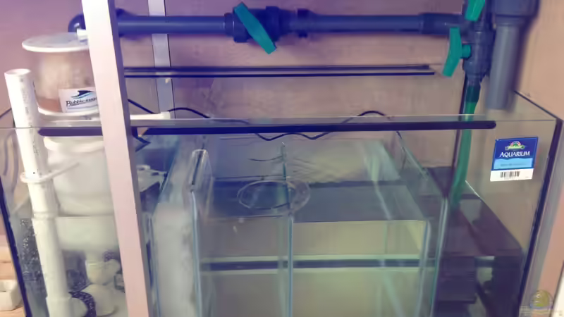 Technickbecken von OperatorD (2)